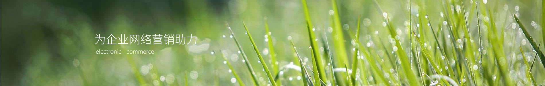 ضܽƷ޹˾